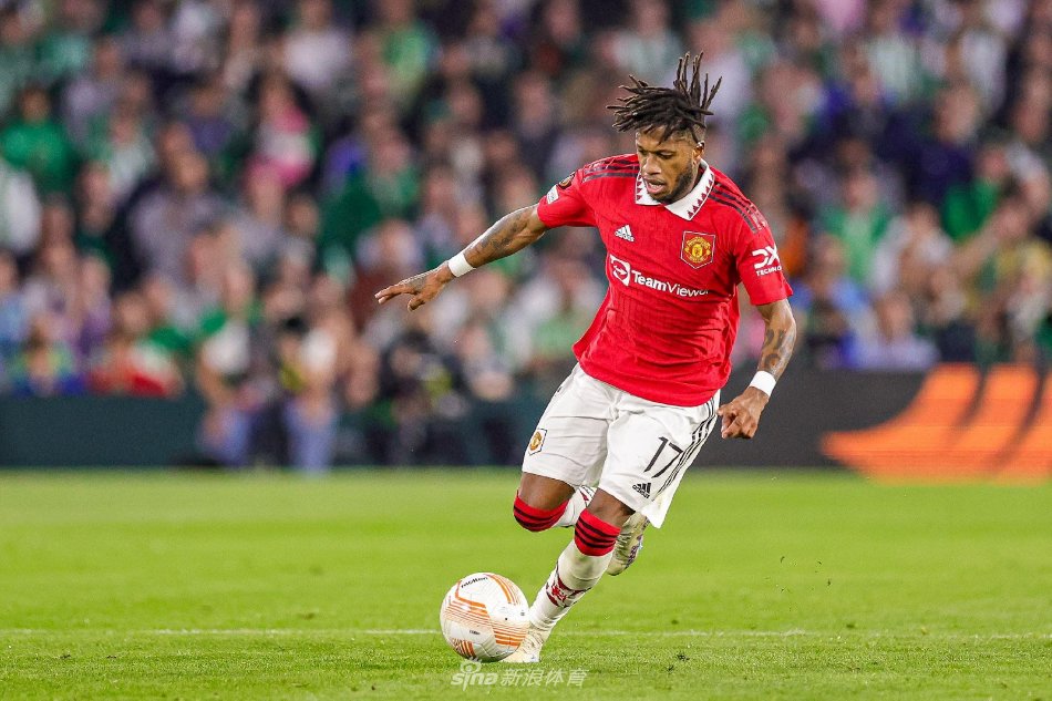 辛那提猛虎 辛那提猛虎