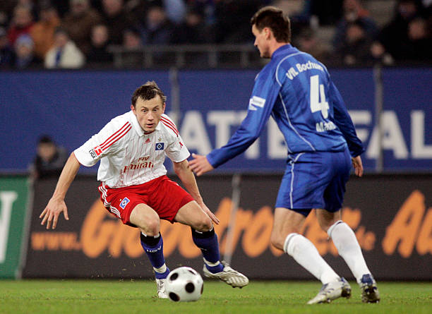 万科维奇树 万科维奇树