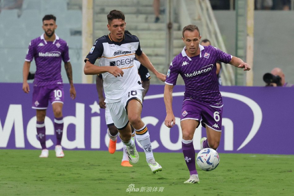 为关注的新 为关注的新